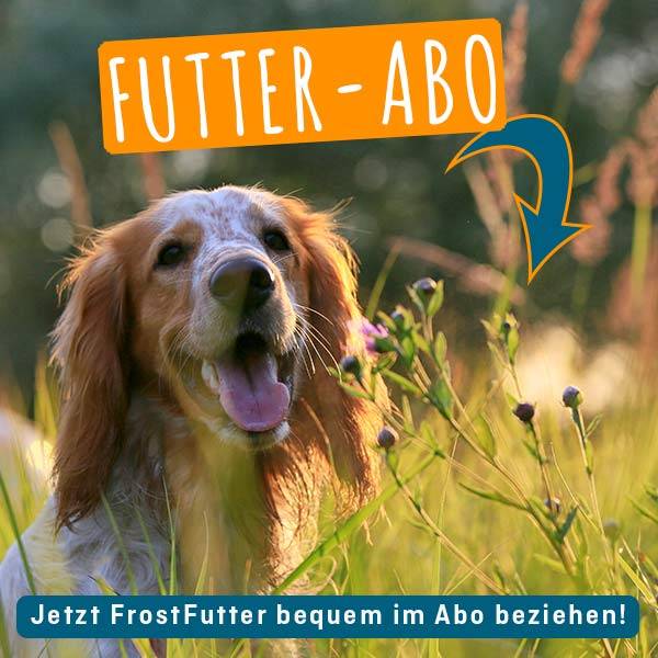 FrostFutter.de - NEU: Tiefkühlfutter jetzt einfach und bequem im Abo bestellen!