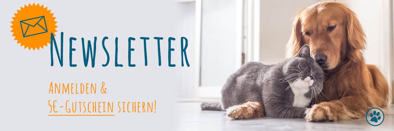 FrostFutter Newsletter: BARF Frostfleisch für Hunde und Katzen 