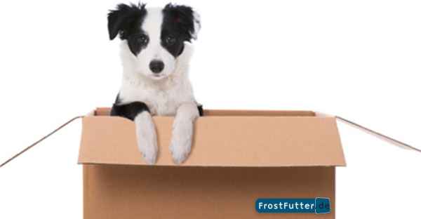 FrostFutter-BARF-Shop-DHL-Versand-Infos