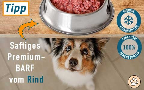 zum BARF Rindfleisch für Hunde