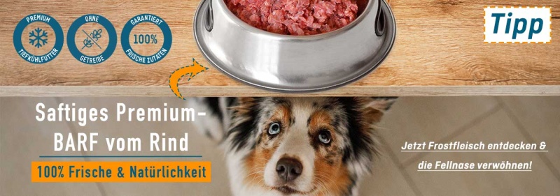 Saftiges Rind für Hunde